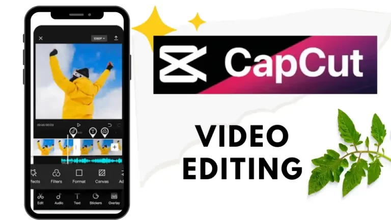 ৩ দিনে CapCut প্রো এডিটির